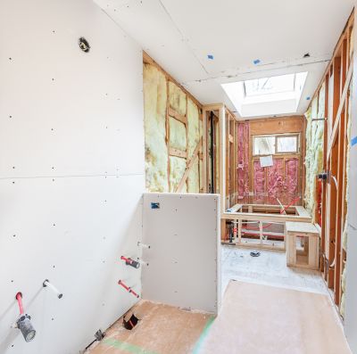 Professional Plumbers